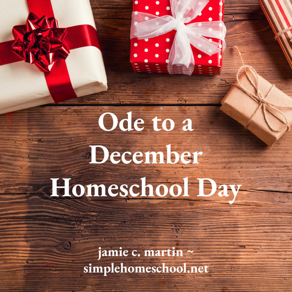 Ode to a December Homeschool Day