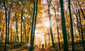 6 Ways to Make the Most of Your Break