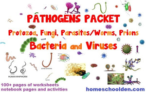 NEW! Pathogens Packet – Bacteria Viruses Protozoa Fungi Parasites and Prions