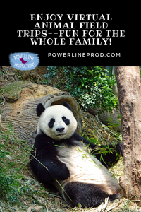 Enjoy Virtual Animal Field Trips–Fun for the Whole Family!