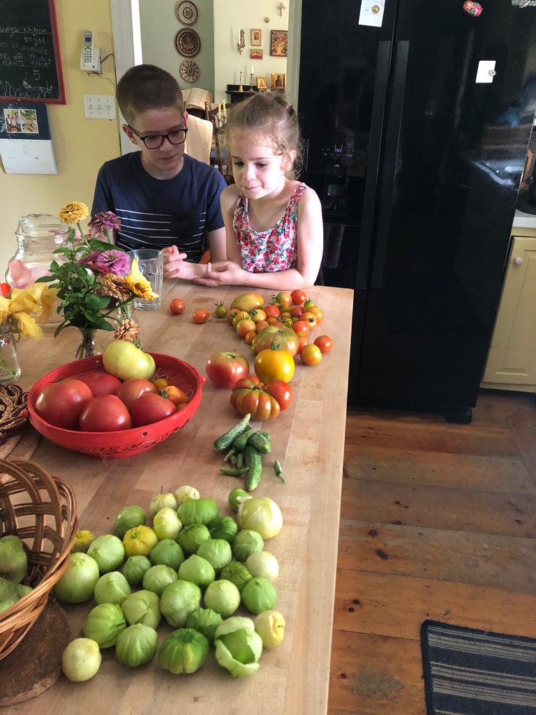 On the run, just need to say this about homeschooling