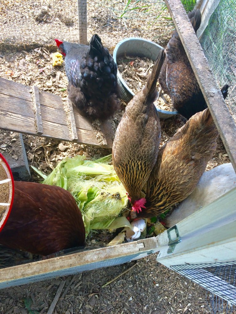 Friendship in real life