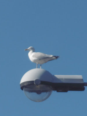 Project 366 :Photo diary week 20