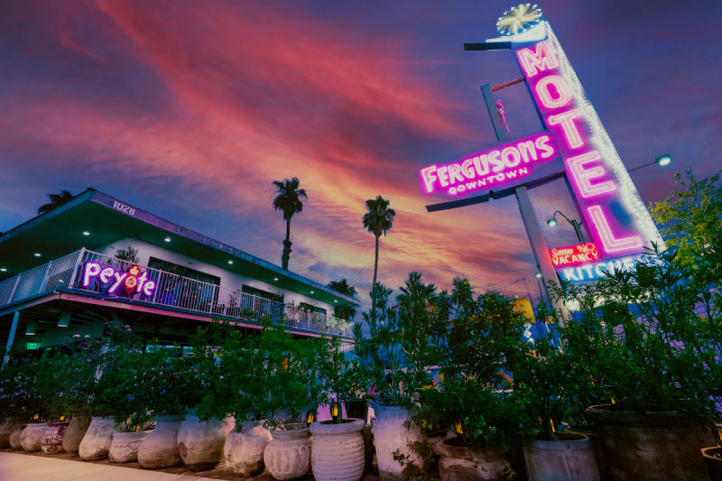 Holograms, Peyote, and Alice in (Vegas) Wonderland