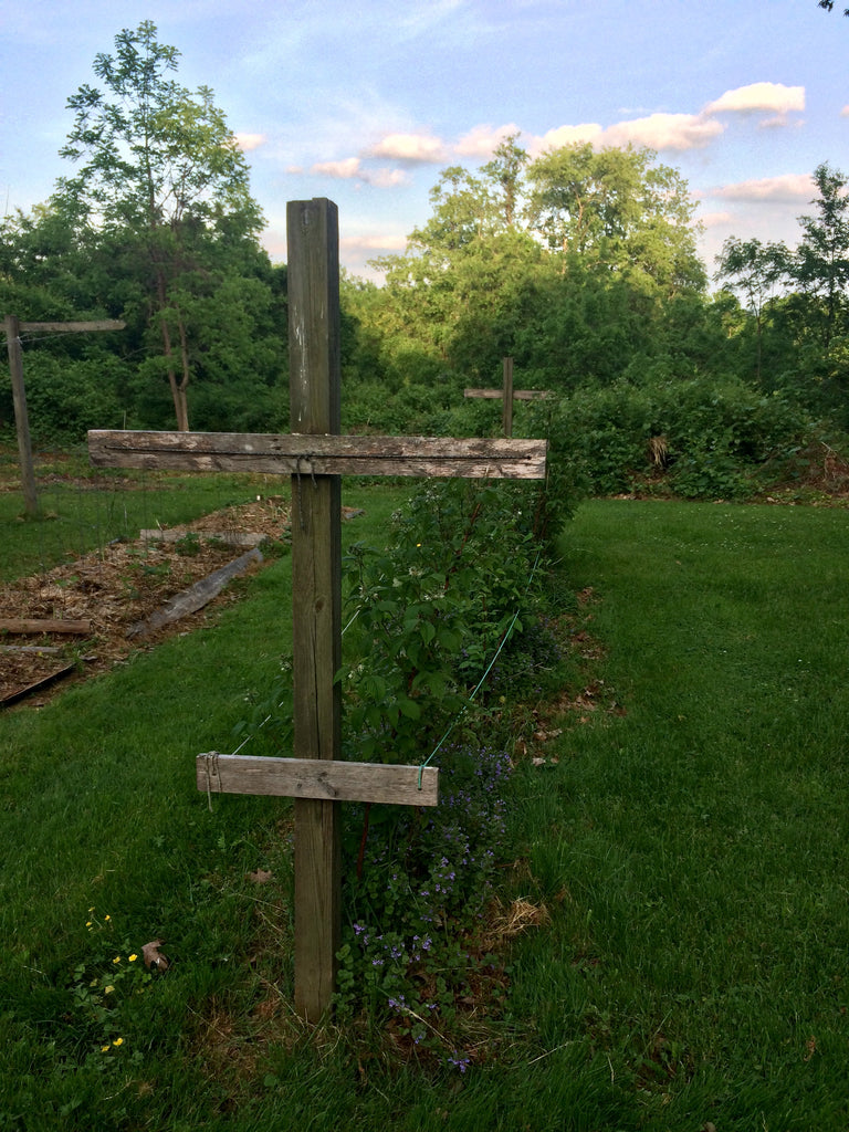 Math Goals with your bits & pieces