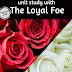 A Loyal Foe + War of the Roses