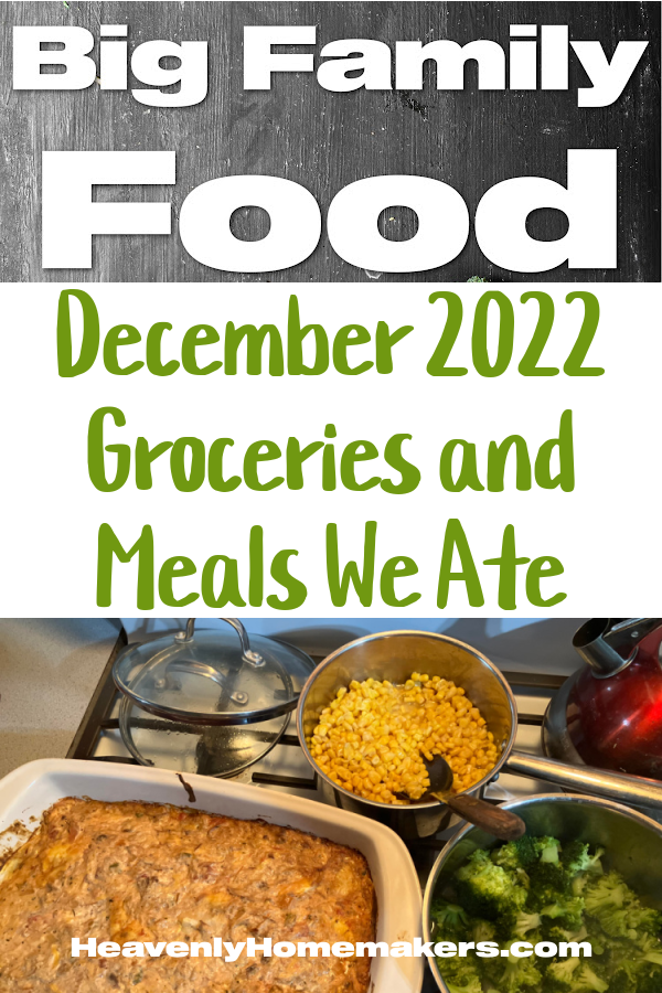 December Groceries and Meals We Ate