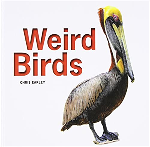 Weird Birds