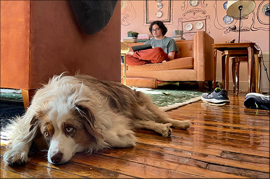 The most useless thing about homeschool advice: it’s all for young kids