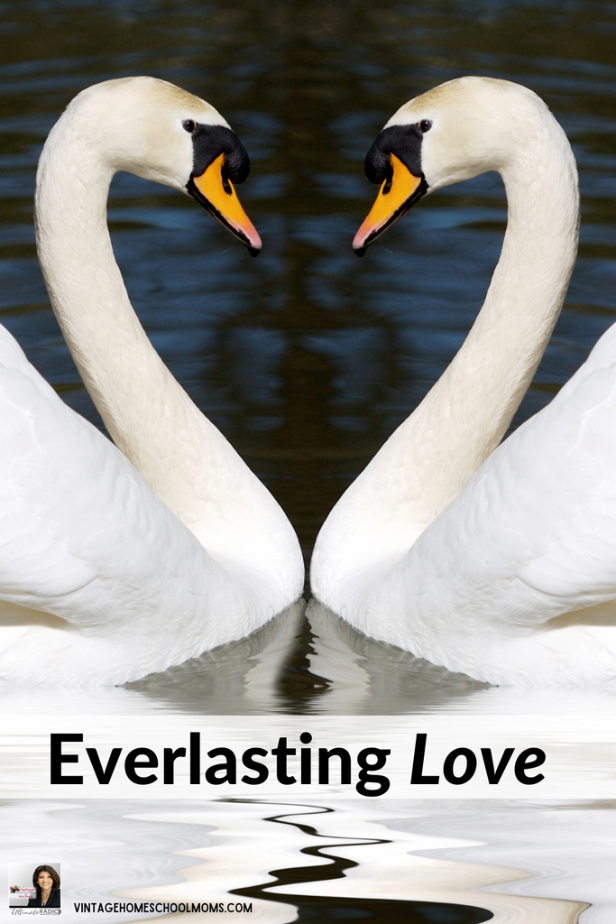 Everlasting Love – Special Replay