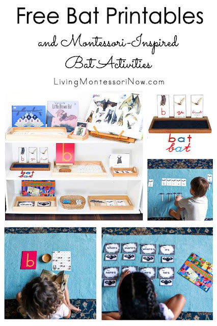 Montessori-Inspired Bat Activities Using Free Printables