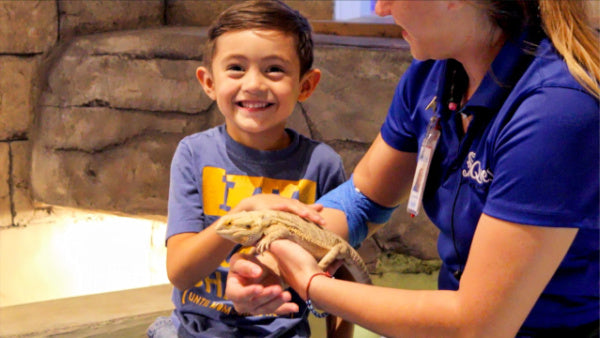 Homeschool STEM Lessons with SeaQuest