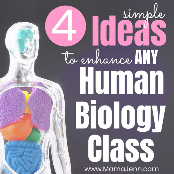 4 Simple Ideas to Enhance ANY Human Biology Curriculum
