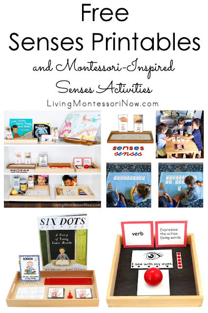 Montessori-Inspired Senses Activities Using Free Printables
