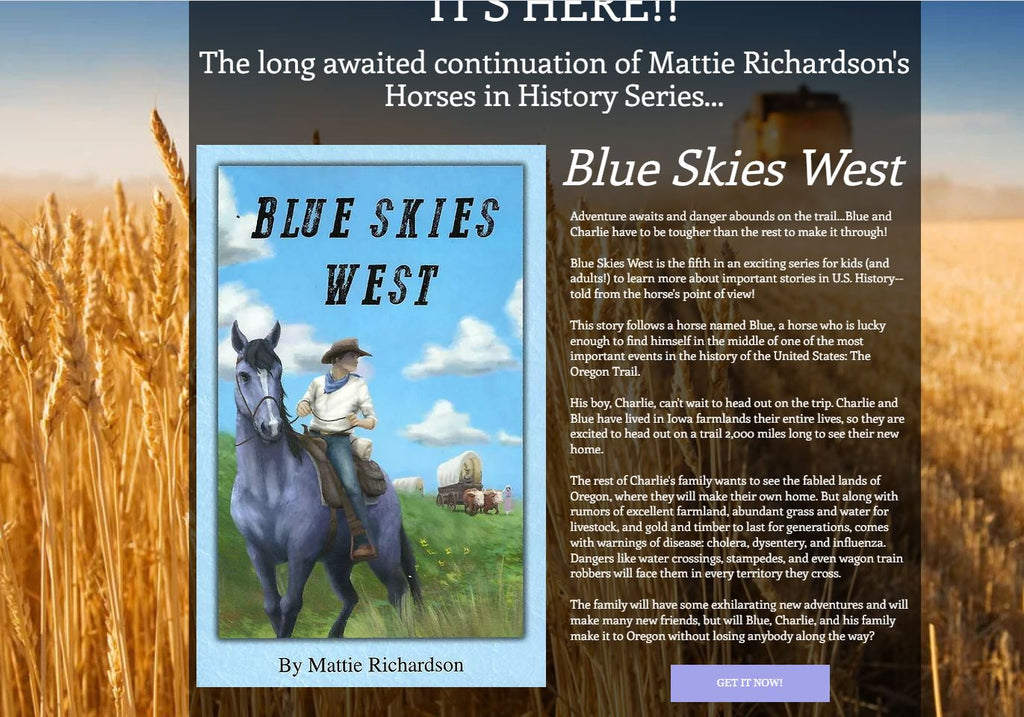 Merey’s Review of Blue Skies West from Appaloosy Books