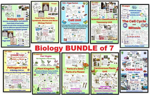 Cell Cycle and Mitosis Worksheet Packet
