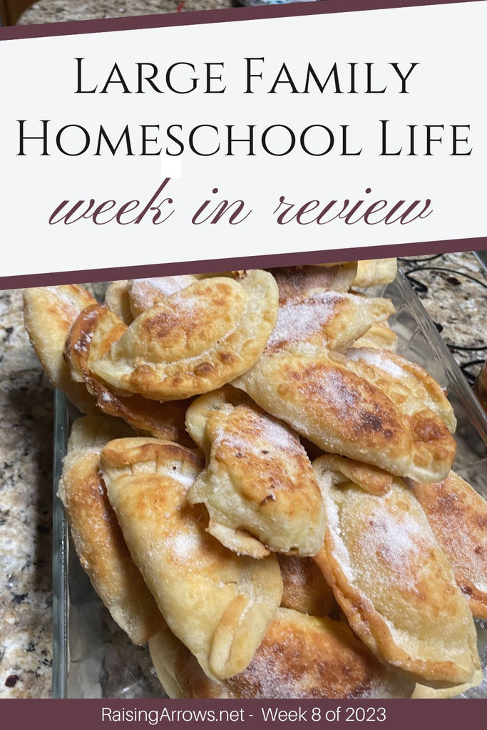 Large Family Homeschool Life – Week 8 of 2023