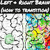 Left Brain & Right Brain Learners (and how to transition!)