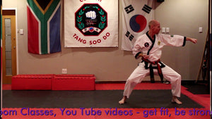 Free online classes to Purple belt in Tang Soo Do martial art  via   #lockdownworkout #blackbeltintraining #ctsd
