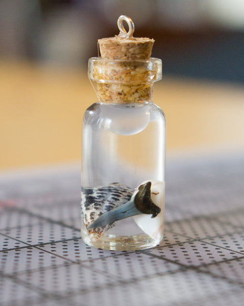 Make a Treasure in a Bottle Charm