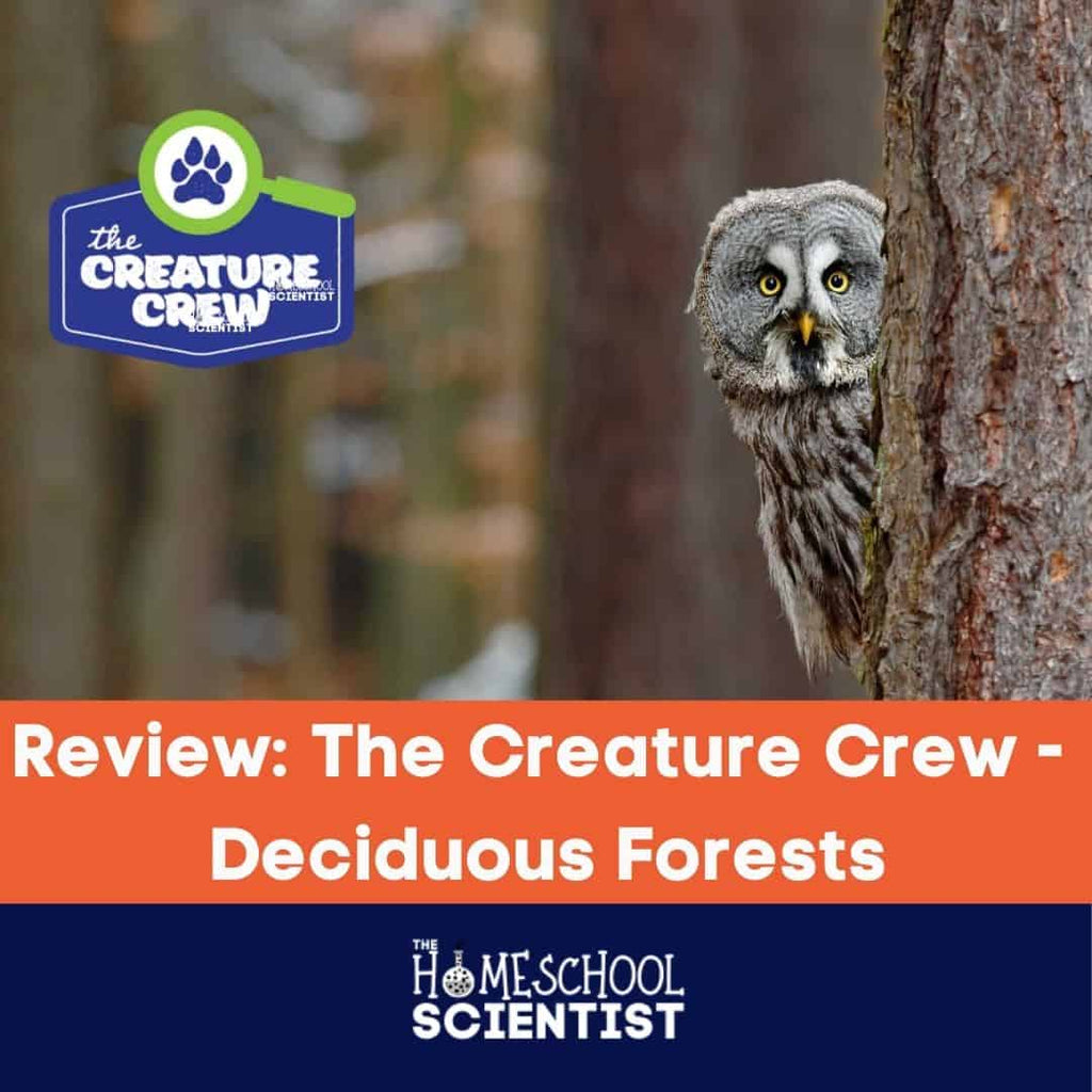 The Creature Crew – Deciduous Forests