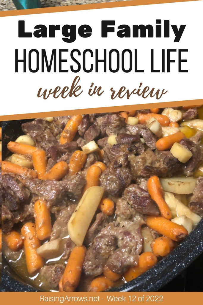 Large Family Homeschool Life – Week 12 of 2022