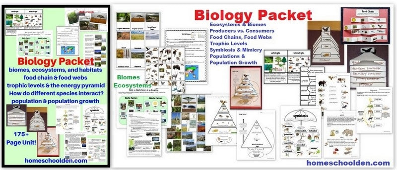 Biology Unit Update!