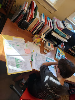 Meal Planning in Survival Mode