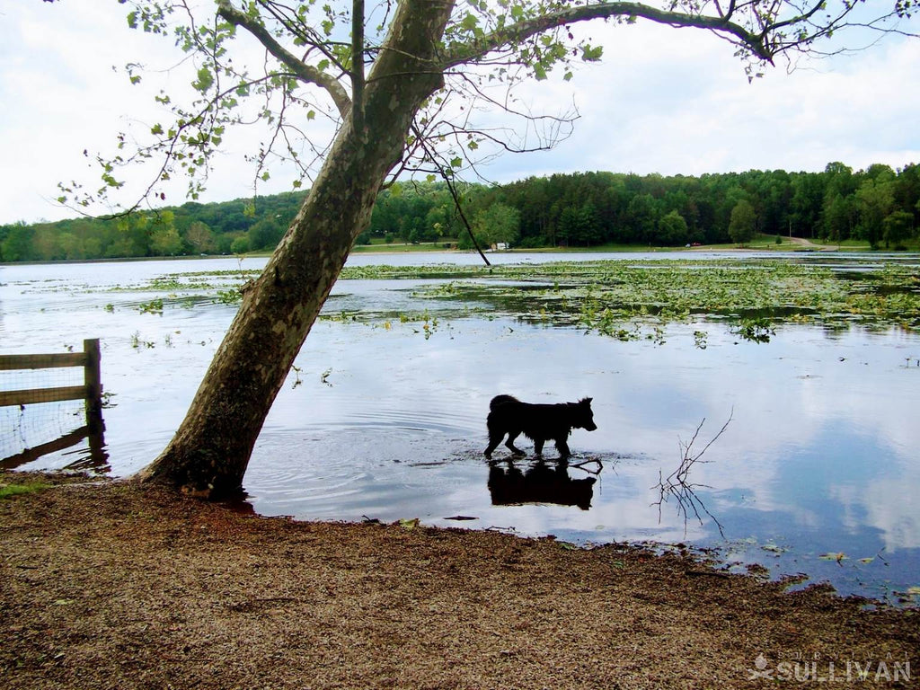 Best Places For Preppers To Live In Ohio