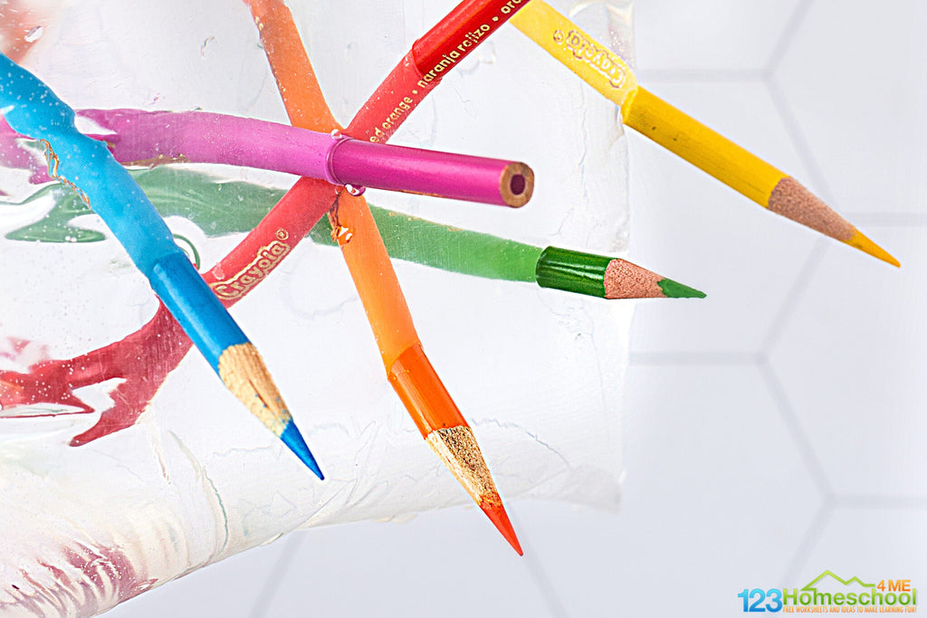 Leak Proof Bag – Amazing Science Experiment with Everyday Materials