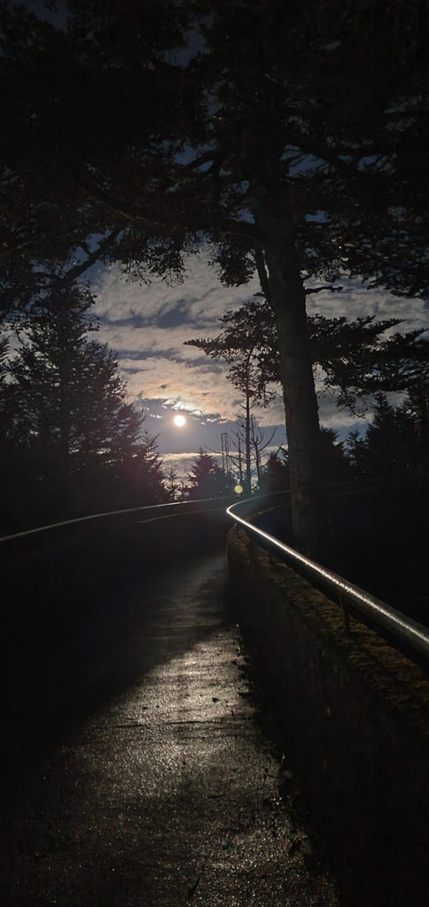 Night Hike at Clingmans Dome