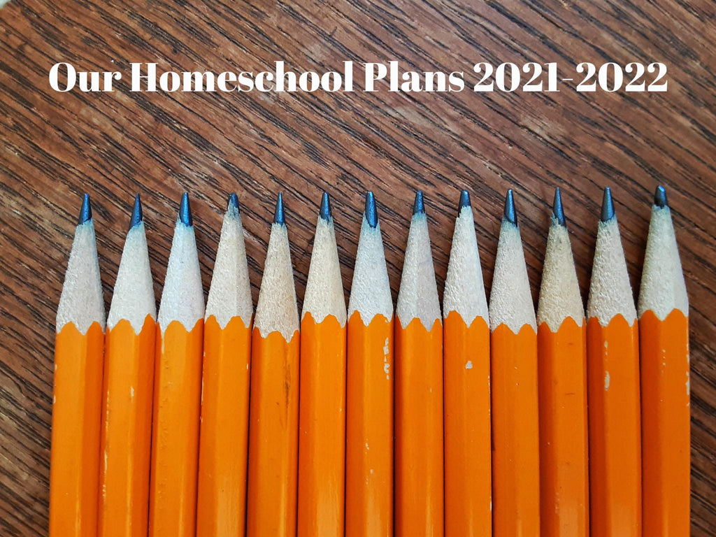 Our Homeschool Plans 2021-2022