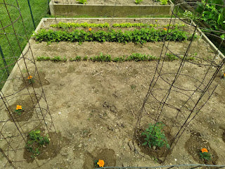 Weekly Wrap Up - She’s a Senior!!