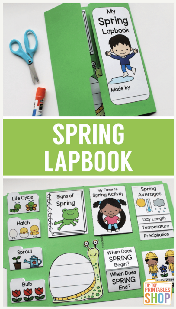 Great Homeschool Curriculum Workbooks