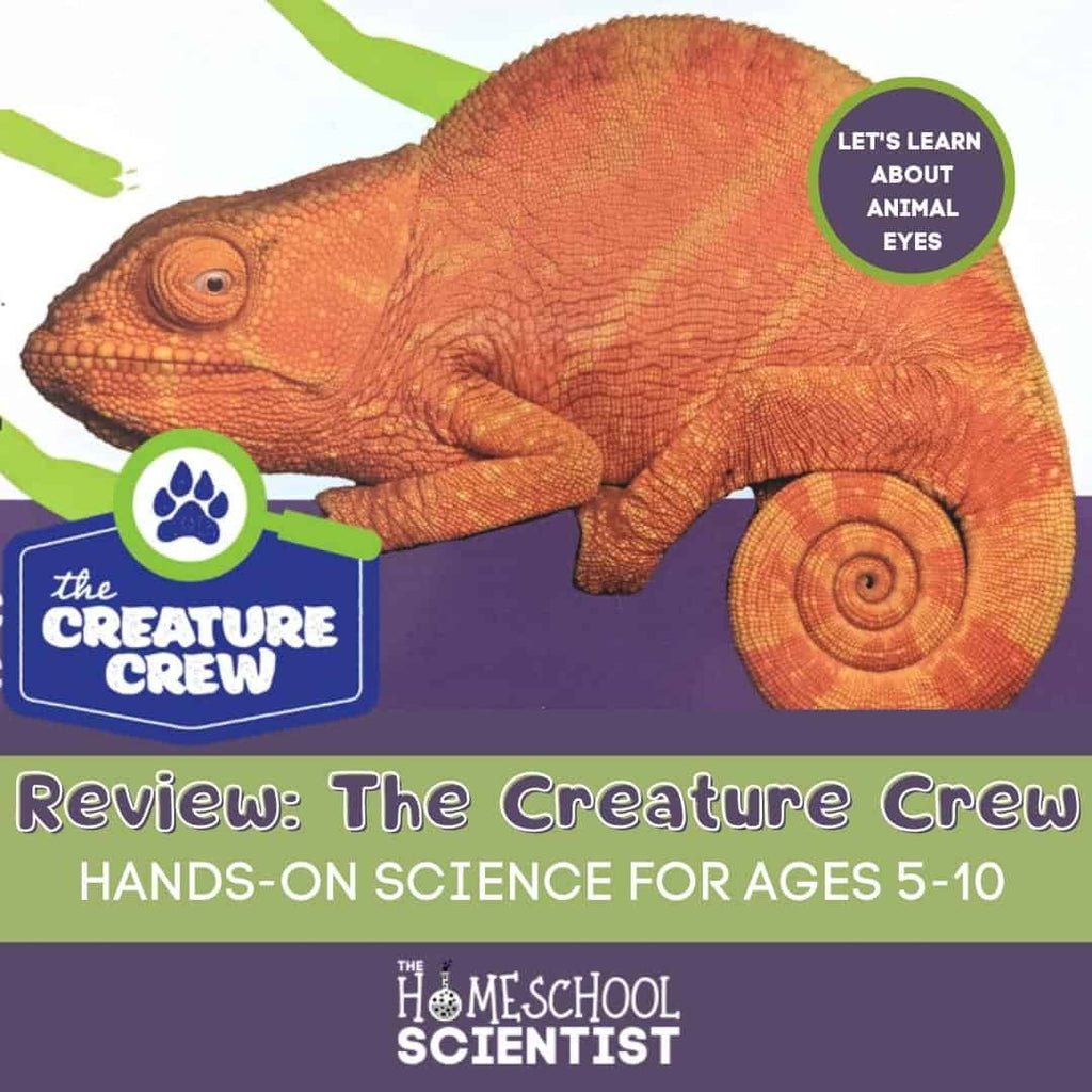 The Creature Crew Science Kits: Animal Eyes