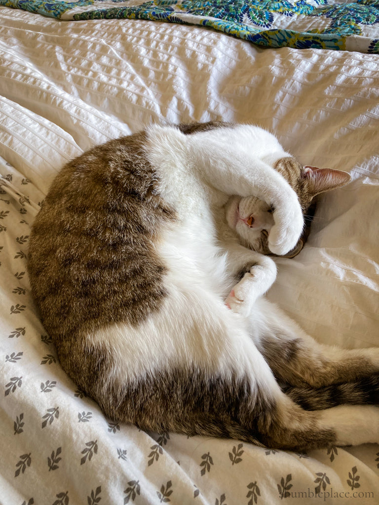 Mother Culturing: Fourth Quarter 2022