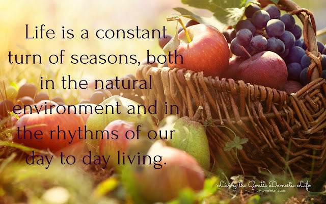 Homemaking as the seasons change...