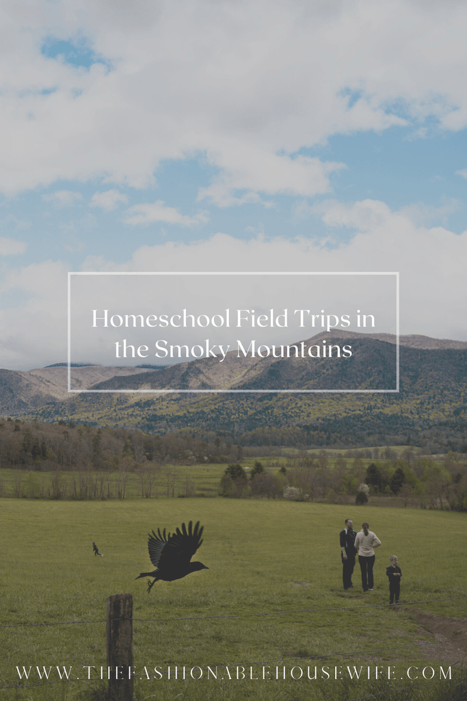 Homeschool Field Trips in the Smoky Mountains