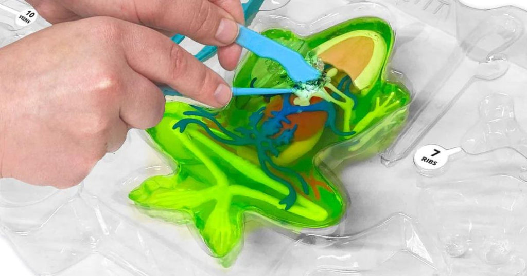 Dissect-It Mega Lab Interactive Toy 30-Piece Set Only $20 on Walmart.com | Cool STEM Gift for Kids