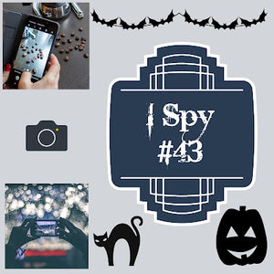 I Spy #43