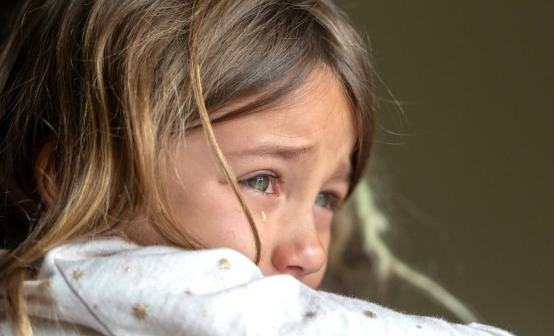 Big Emotions. Big Feelings. Little Person.