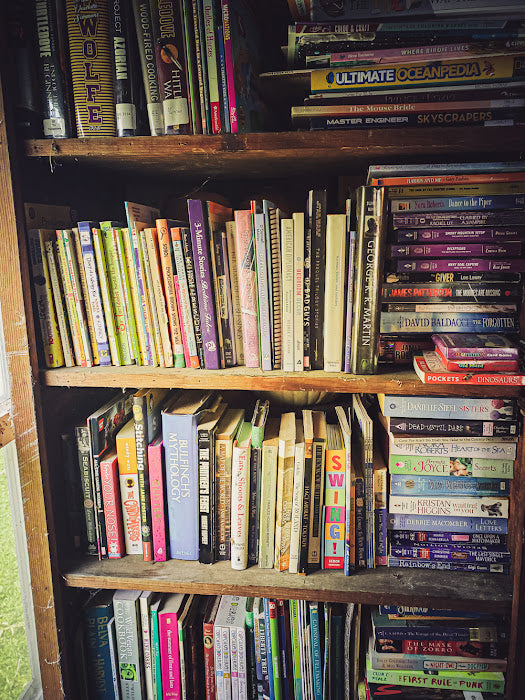 July Favorites: Hockey, Horror, and Check Fraud