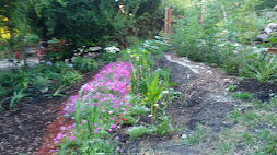 Freebie Time for Back To School