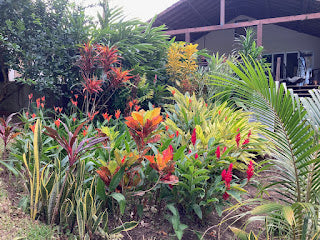 Vanuatu and the start of the 2022-2023 year