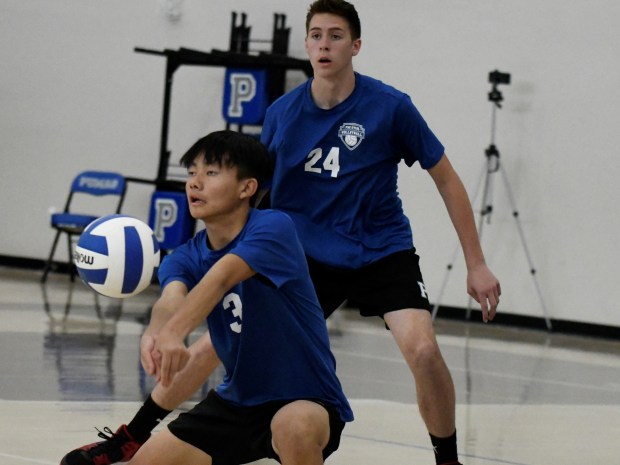 Boys volleyball: Peak to Peak ‘clicking’ in its inaugural year
