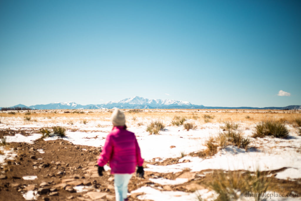 Courage, Dear Heart: Reflections from the 2022 Charlotte Mason Educational Retreat