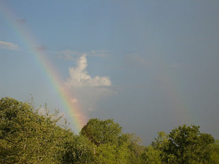 Wednesday Ramblings: We Go On