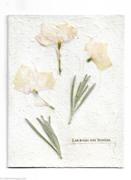 The New and Improved Way to Press Flowers in the Microwave