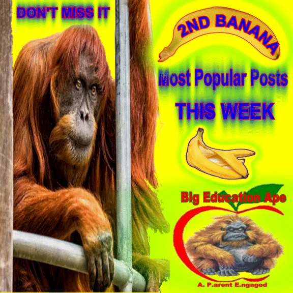 TOP POSTS THIS WEEK 4/25/20 #REDFORED #tbats