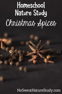 Christmas Spices Nature Study for Kids
